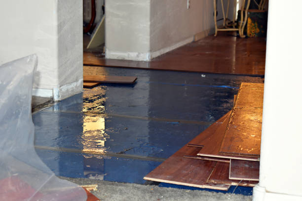 Professional Burst Pipe Cleanup technician working in Mason, MI