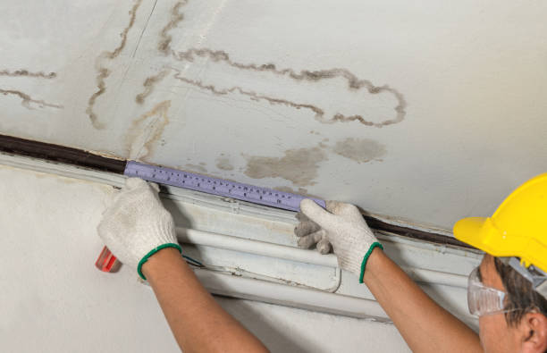 Reliable Burst Pipe Cleanup contractor in Mason, MI by Local Water Damage Repair